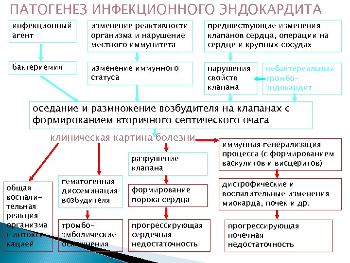 ПАТОГЕНЕЗ ИНФЕКЦИОННОГО ЭНДОКАРДИТА инфекционный агент изменение реактивности организма и нарушение местного иммунитета предшествующие изменения