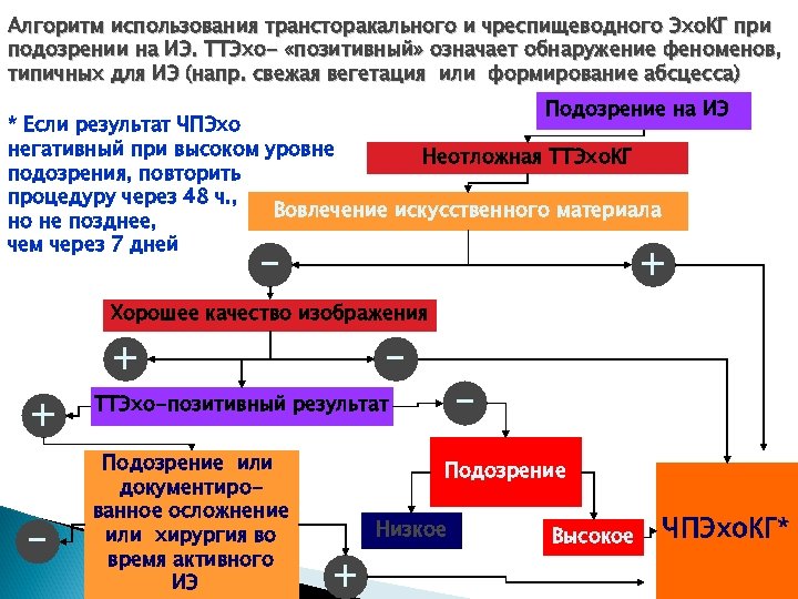 Алгоритм использования трансторакального и чреспищеводного Эхо. КГ при подозрении на ИЭ. ТТЭхо- «позитивный» означает
