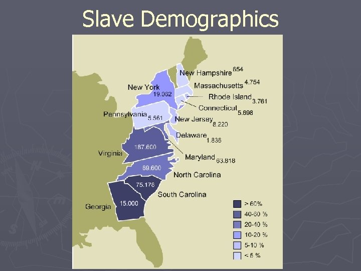 Slave Demographics 