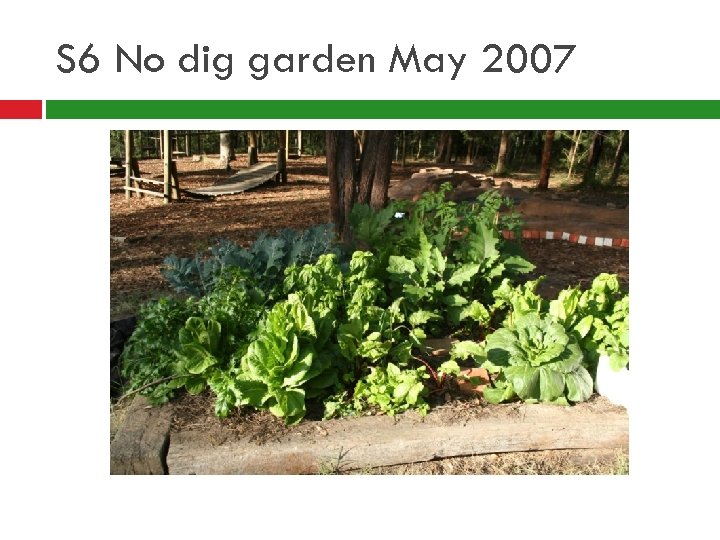 S 6 No dig garden May 2007 