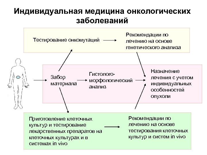 Индивидуальная рекомендация. Профилактика онкологии тест. Заключение генетического анализа по онкологическим заболеваниям. Тестирование онкологических больных. Индивидуальный подход в медицине.