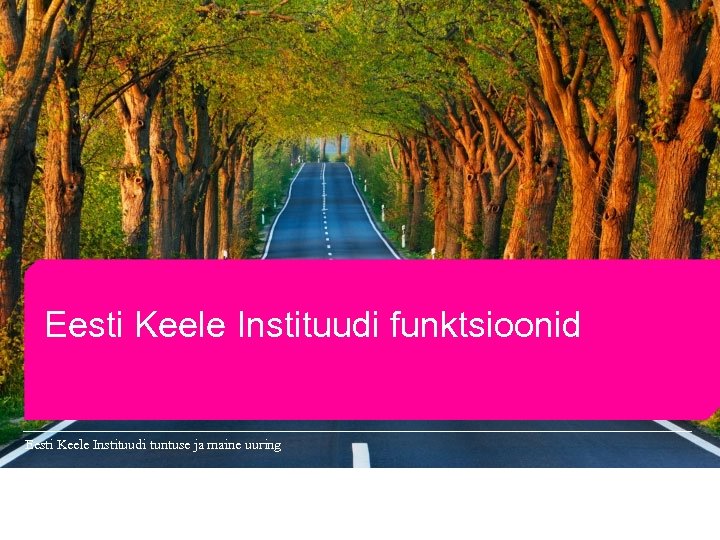 Eesti Keele Instituudi funktsioonid Eesti Keele Instituudi tuntuse ja maine uuring 