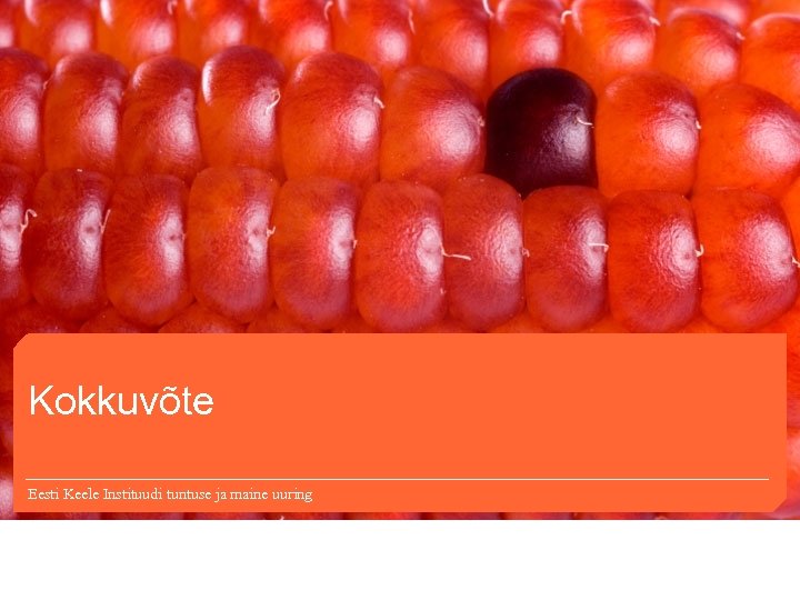 Kokkuvõte Eesti Keele Instituudi tuntuse ja maine uuring 