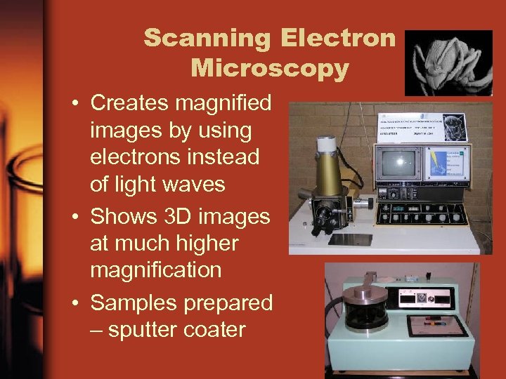 Scanning Electron Microscopy • Creates magnified images by using electrons instead of light waves