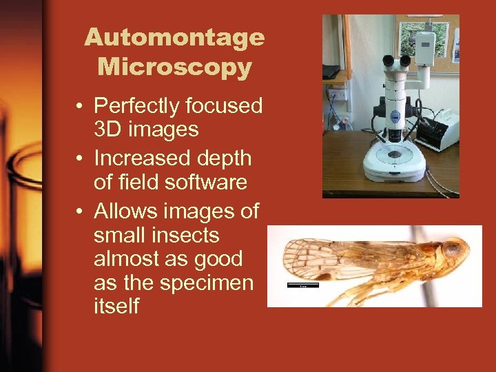 Automontage Microscopy • Perfectly focused 3 D images • Increased depth of field software