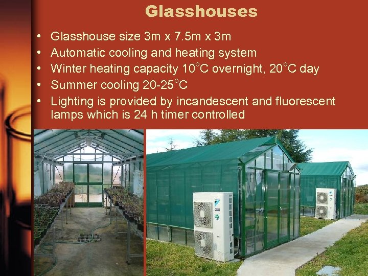 Glasshouses • • • Glasshouse size 3 m x 7. 5 m x 3