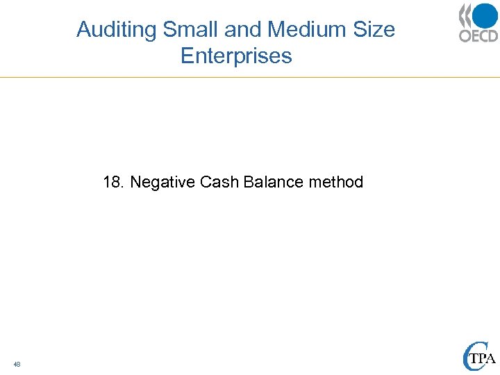 Auditing Small and Medium Size Enterprises 18. Negative Cash Balance method 48 