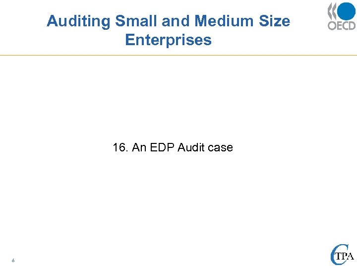 Auditing Small and Medium Size Enterprises 16. An EDP Audit case 6 