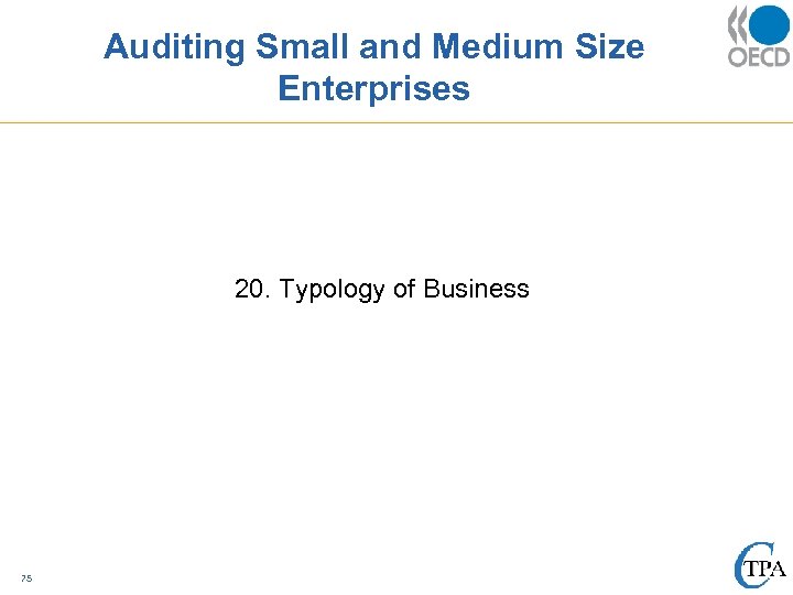 Auditing Small and Medium Size Enterprises 20. Typology of Business 75 