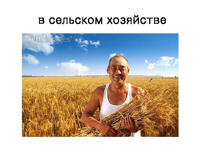 в сельском хозяйстве 