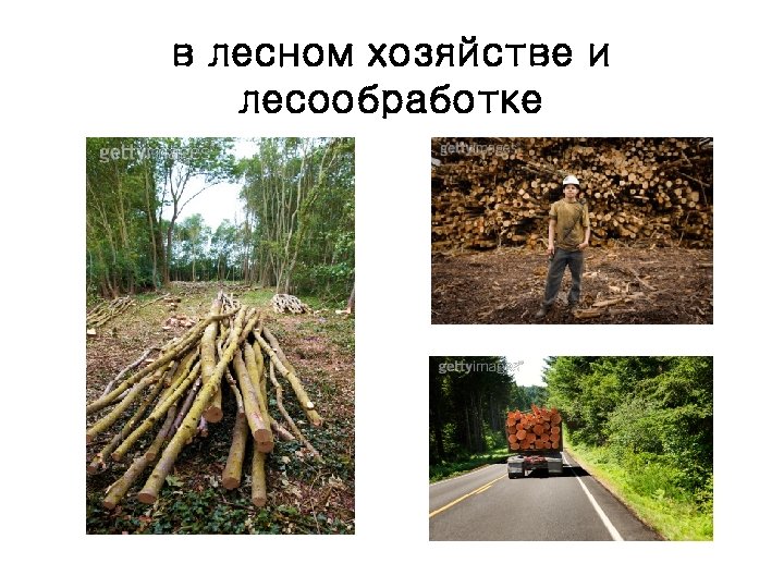 в лесном хозяйстве и лесообработке 