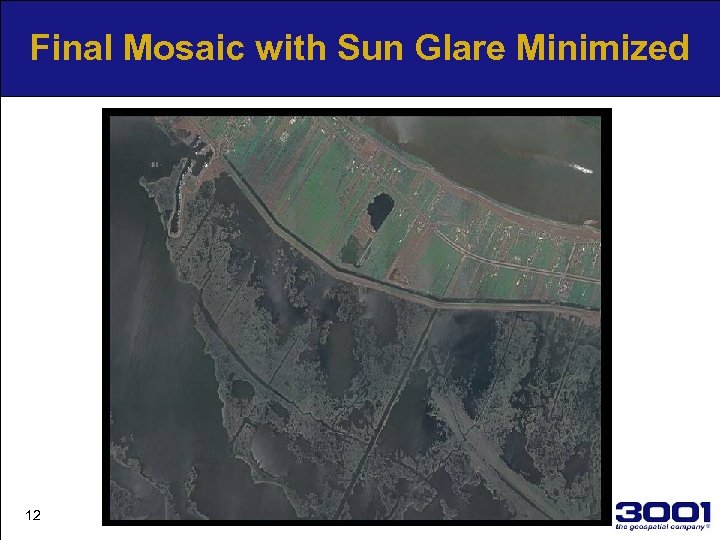 Final Mosaic with Sun Glare Minimized 12 