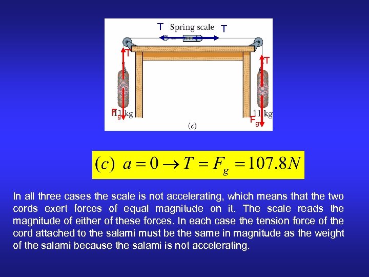 T T T Fg In all three cases the scale is not accelerating, which