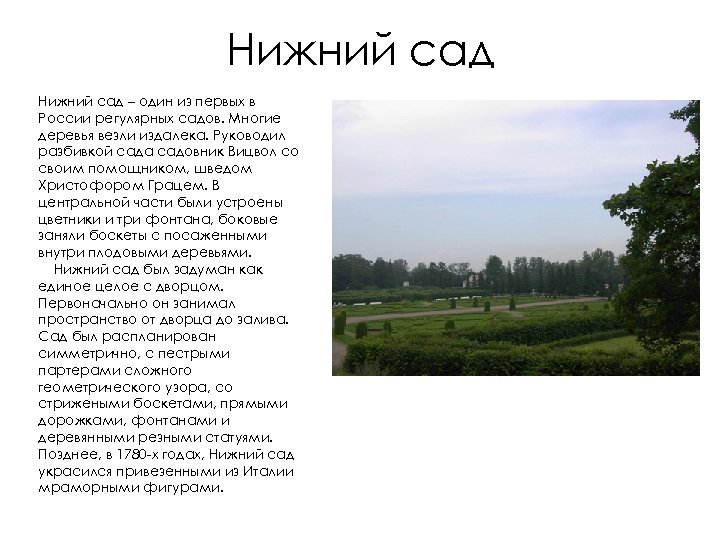 Нижний сад – один из первых в России регулярных садов. Многие деревья везли издалека.