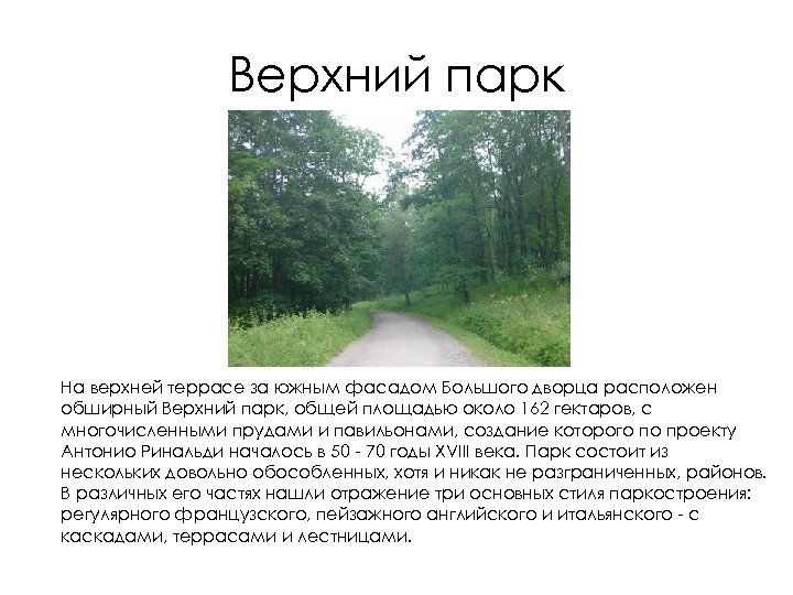 Верхний парк На верхней террасе за южным фасадом Большого дворца расположен обширный Верхний парк,