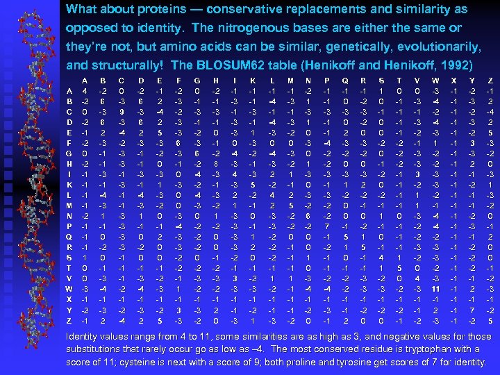 What about proteins — conservative replacements and similarity as opposed to identity. The nitrogenous