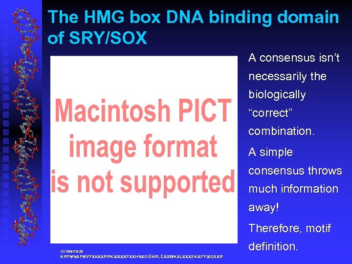 The HMG box DNA binding domain of SRY/SOX A consensus isn’t necessarily the biologically