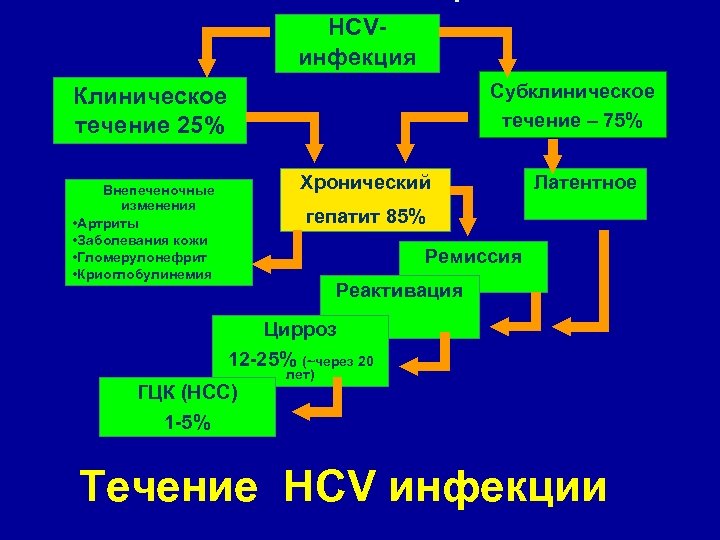 HCVинфекция Субклиническое течение – 75% Клиническое течение 25% Хронический Внепеченочные изменения • Артриты •