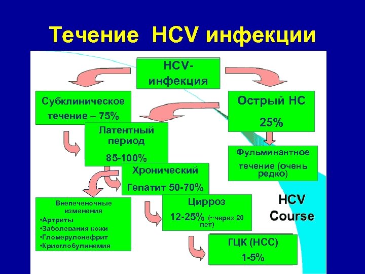 Течение HCV инфекции HCVинфекция Острый HC Субклиническое течение – 75% Латентный период 25% Фульминантное