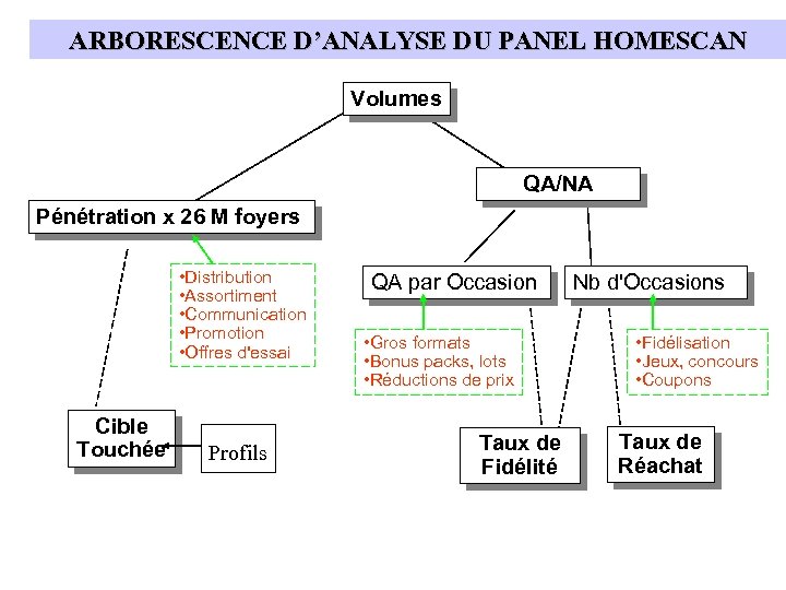 ARBORESCENCE D’ANALYSE DU PANEL HOMESCAN Volumes QA/NA Pénétration x 26 M foyers • Distribution