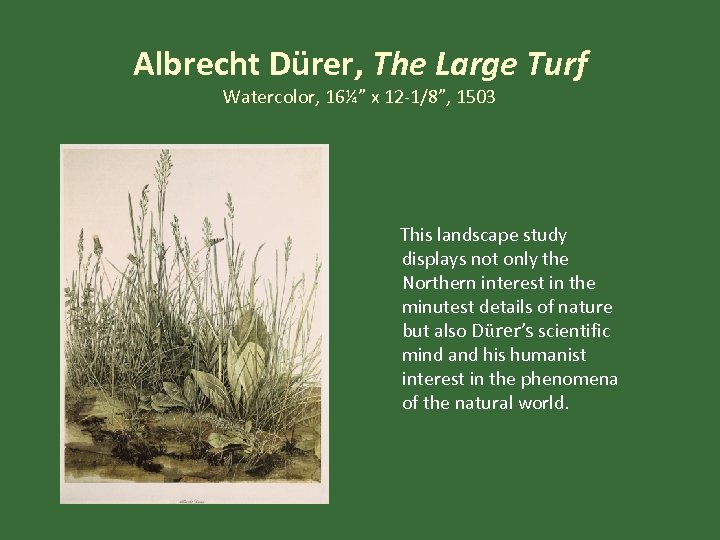 Albrecht Dürer, The Large Turf Watercolor, 16¼” x 12 -1/8”, 1503 This landscape study