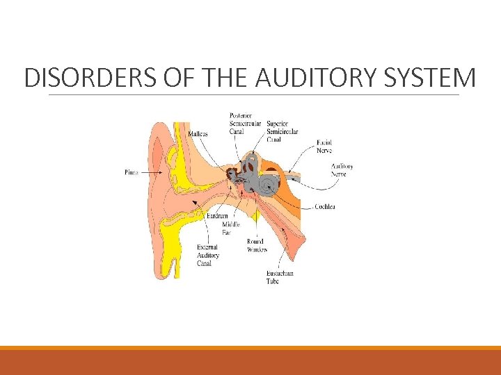 DISORDERS OF THE AUDITORY SYSTEM 