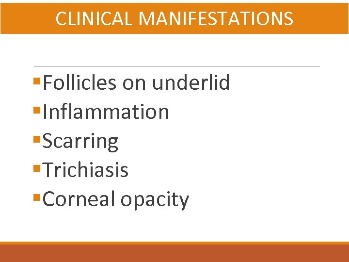 CLINICAL MANIFESTATIONS §Follicles on underlid §Inflammation §Scarring §Trichiasis §Corneal opacity 