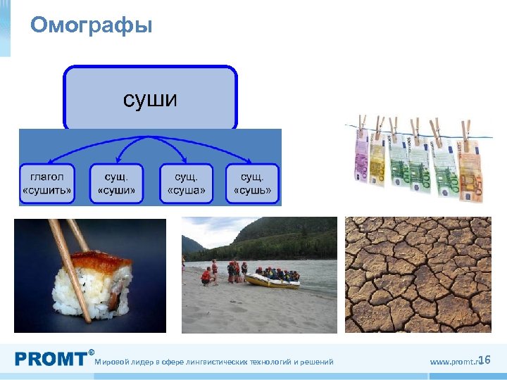 Слова омографы. Омографы. Мука омографы. Полки омографы. Омографы примеры 2 класс.