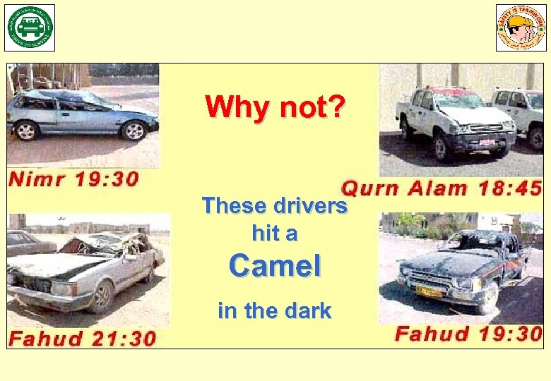 Why not? These drivers hit a Camel in the dark 