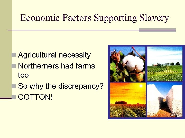 Economic Factors Supporting Slavery n Agricultural necessity n Northerners had farms too n So
