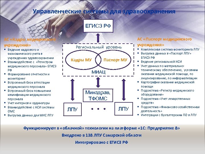 Уровень организации егисз