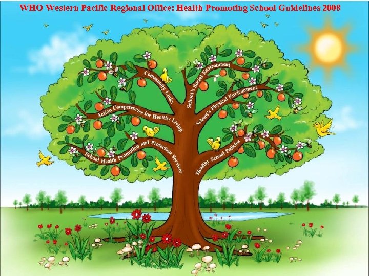 WHO Western Pacific Regional Office: Health Promoting School Guidelines 2008 