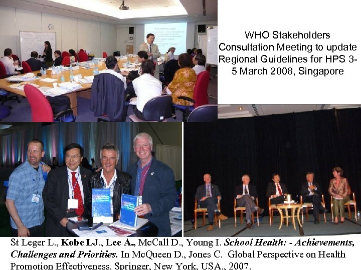 WHO Stakeholders Consultation Meeting to update Regional Guidelines for HPS 35 March 2008, Singapore