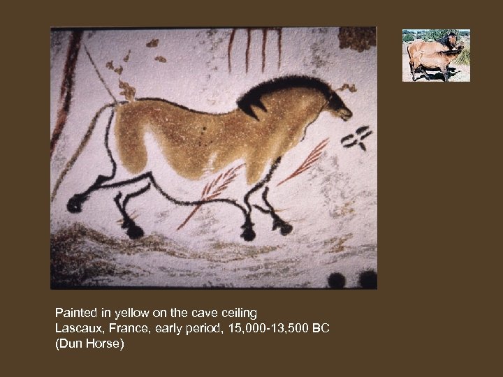 Painted in yellow on the cave ceiling Lascaux, France, early period, 15, 000 -13,