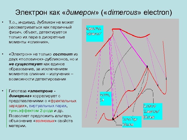 Электрон как «димерон» ( «dimerous» electron) • Т. о. , индивид. дубликон не может