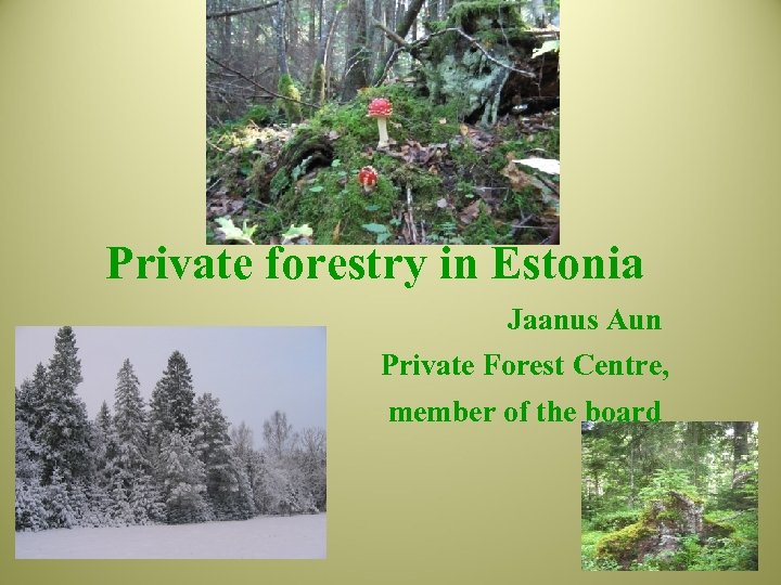 Private forestry in Estonia Jaanus Aun Private Forest Centre, member of the board 
