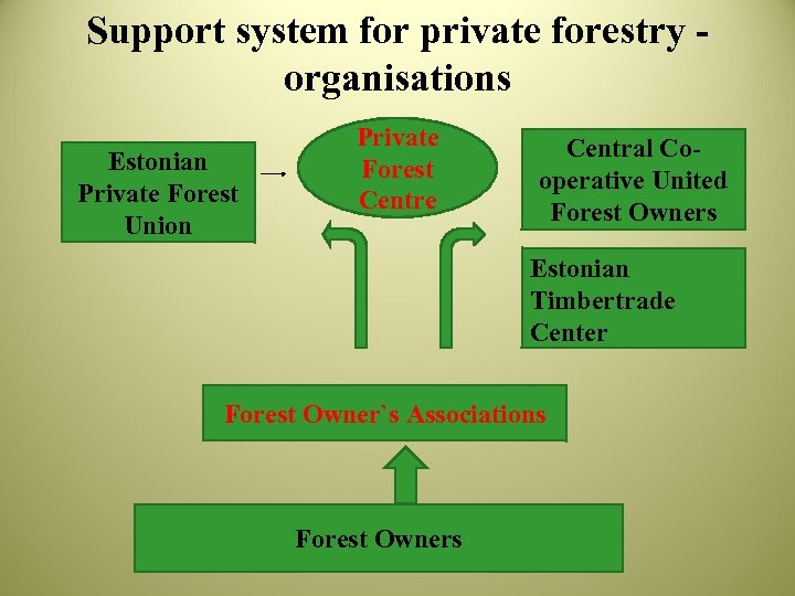 Support system for private forestry organisations Estonian Private Forest Union Private Forest Centre Central