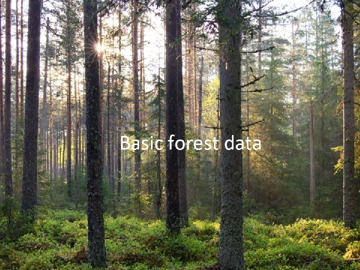 General information Total land area 45 000 km 2 Total forest area 2, 26