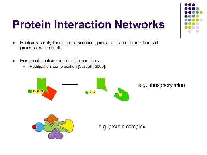 Protein Interaction Networks l Proteins rarely function in isolation, protein interactions affect all processes