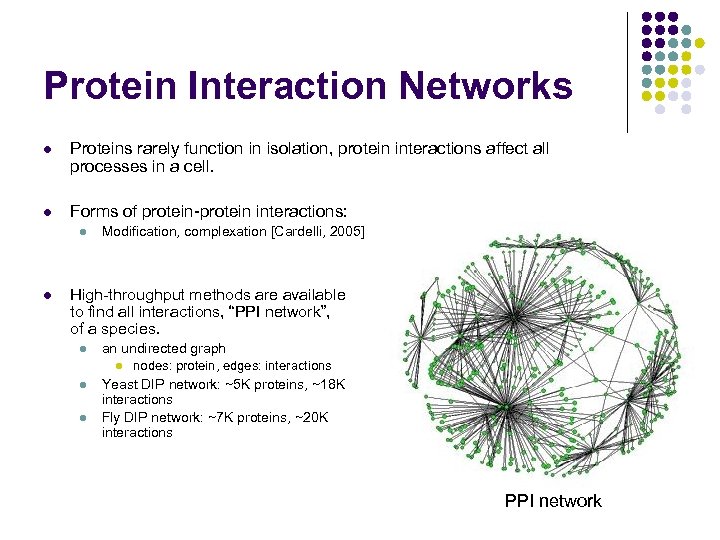 Protein Interaction Networks l Proteins rarely function in isolation, protein interactions affect all processes