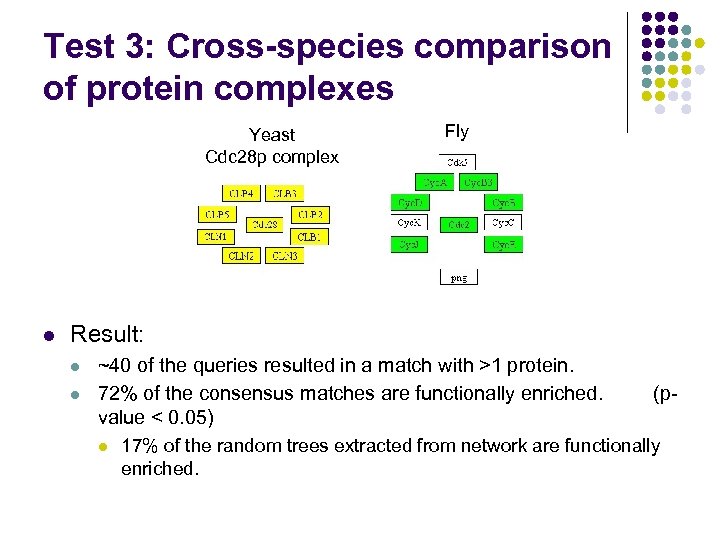 Test 3: Cross-species comparison of protein complexes Yeast Cdc 28 p complex l Fly
