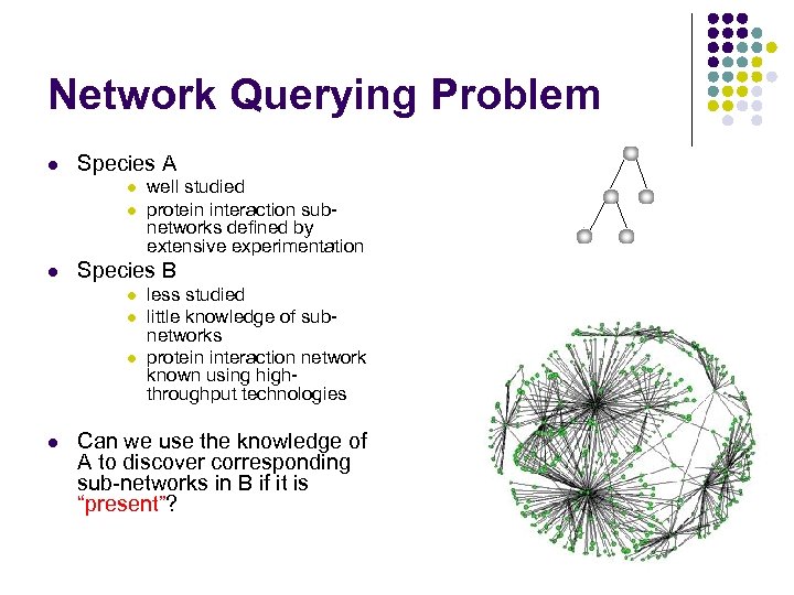 Network Querying Problem l Species A l l l Species B l l well