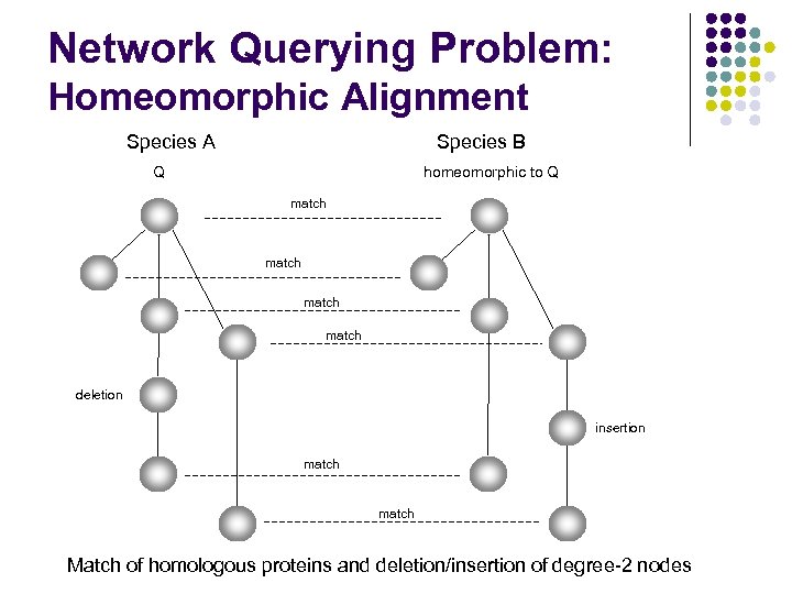 Network Querying Problem: Homeomorphic Alignment Species A Species B Q homeomorphic to Q match