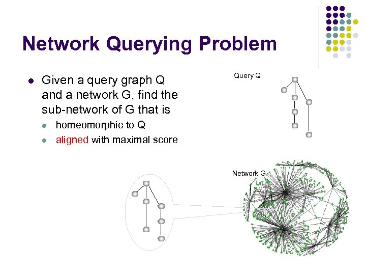 Network Querying Problem l Given a query graph Q and a network G, find