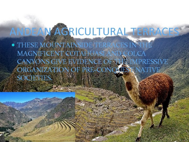 ANDEAN AGRICULTURAL TERRACES THESE MOUNTAINSIDE TERRACES IN THE MAGNIFICENT COTAHUASI AND COLCA CANYONS GIVE