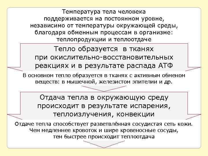 Температура тела человека поддерживается на постоянном уровне, независимо от температуры окружающей среды, благодаря обменным