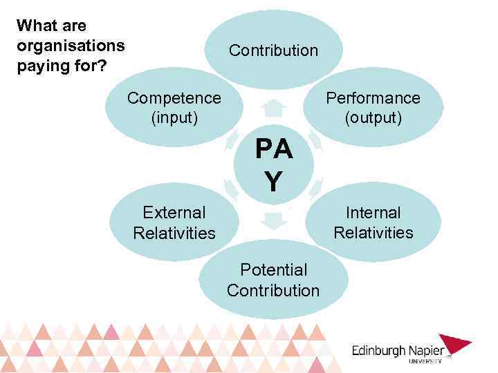 What are organisations paying for? Contribution Competence (input) Performance (output) PA Y External Relativities