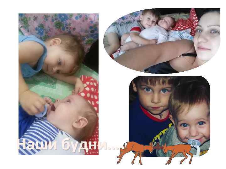 Наши будни…. 