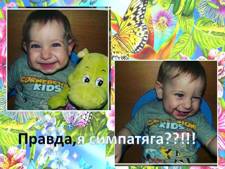 Правда, я симпатяга? ? !!! 