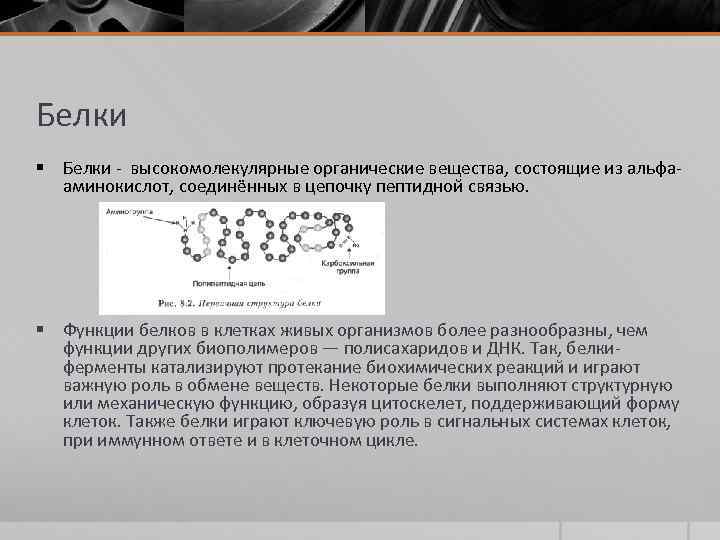 Белки § Белки - высокомолекулярные органические вещества, состоящие из альфааминокислот, соединённых в цепочку пептидной